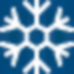 Logo of Arctico