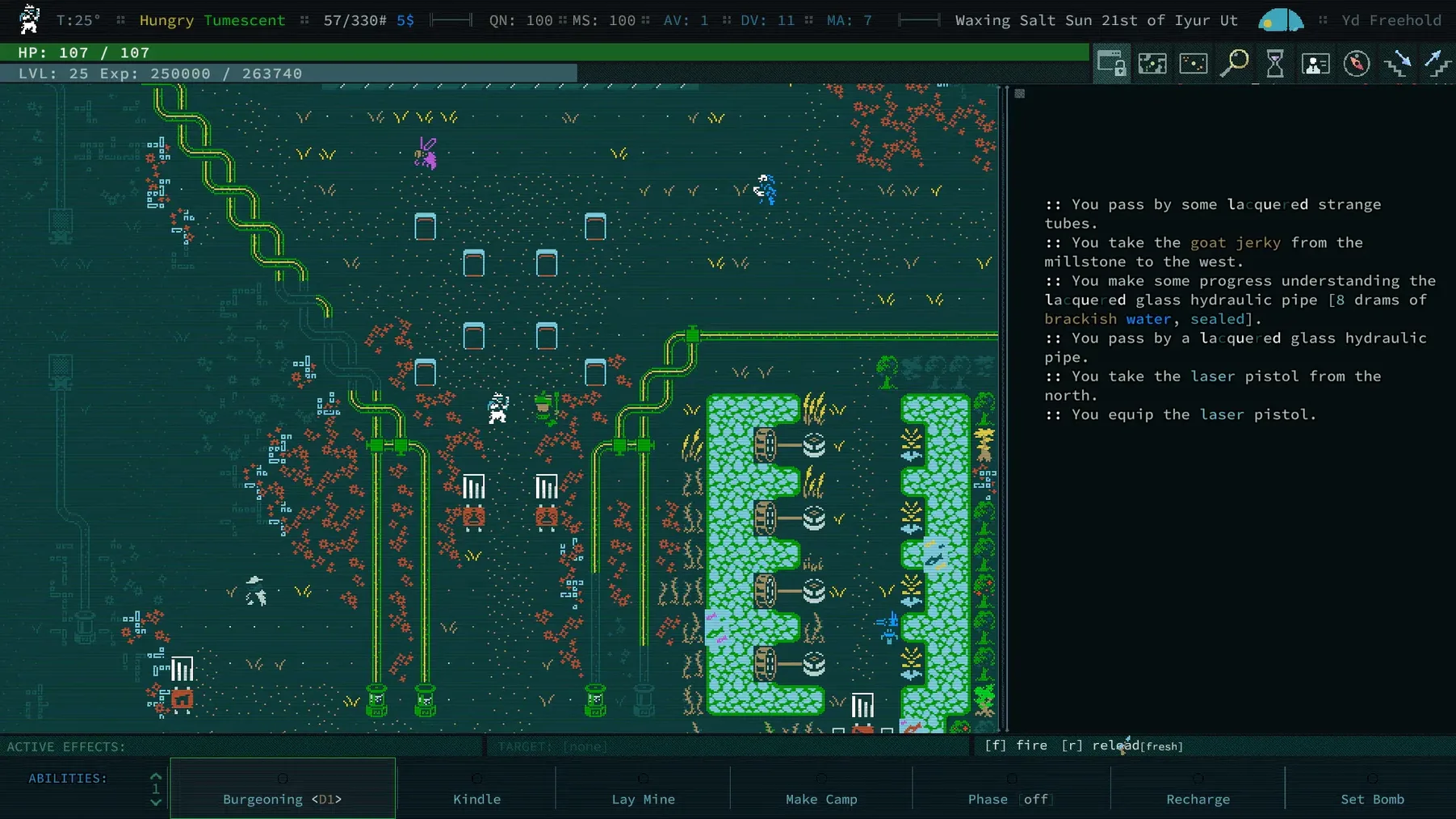 Caves of Qud demo 3 Caves of Qud sidebar view 3