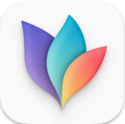 MindNode icon, 2026.6.1