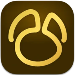Navicat Premium icon, 17.3.12