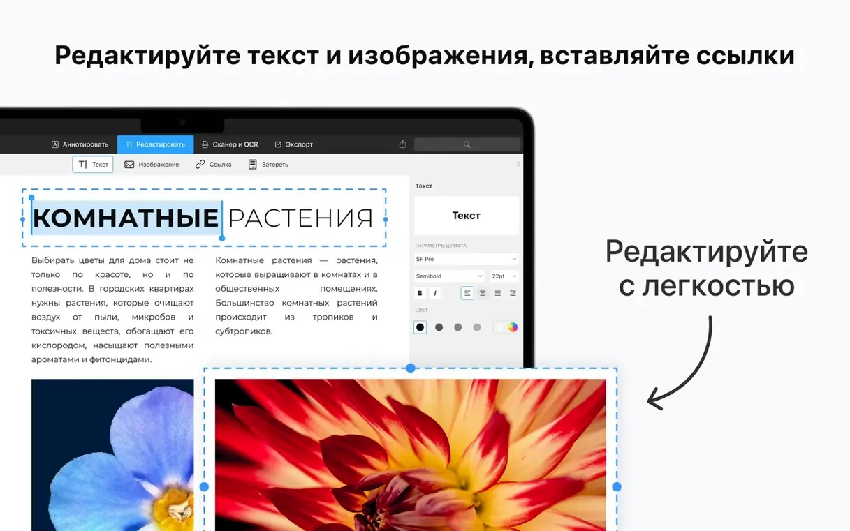 PDF Expert on a Mac, shot 3 PDF Expert for Mac, image 3