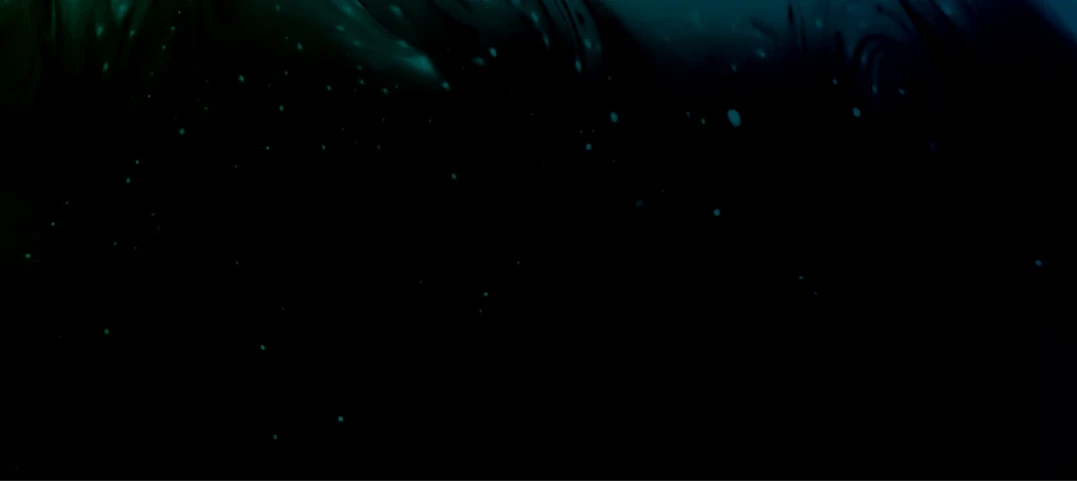 Logo of Slate Digital Submerge