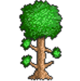 Logo of Terraria
