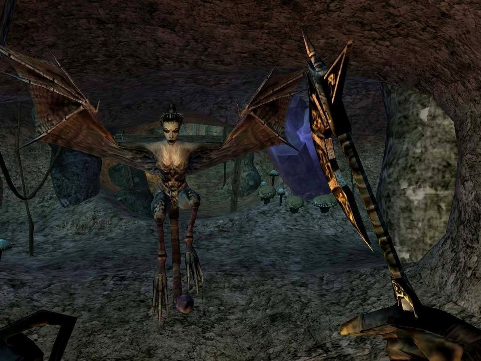 The Elder Scrolls III: Morrowind on a Mac, shot 2 The Elder Scrolls III: Morrowind for Mac, image 2